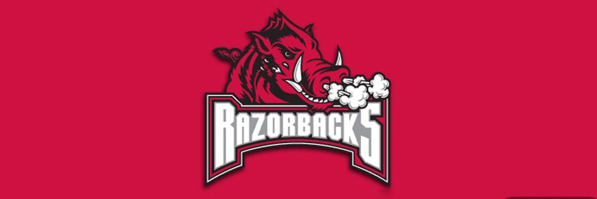 indecisivezebra's profile banner image