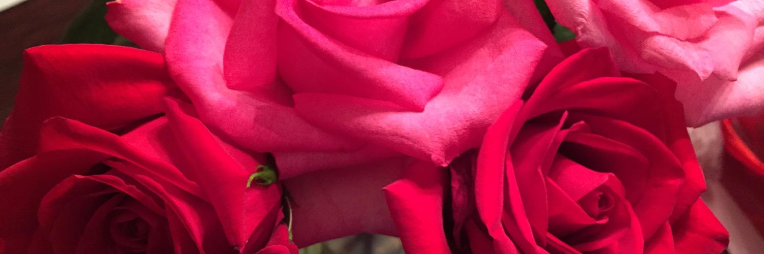 trustlamour's profile banner image