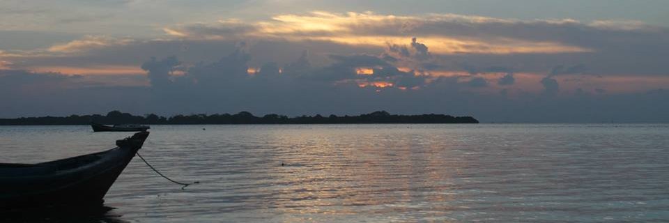 Aldiar_DC's profile banner image