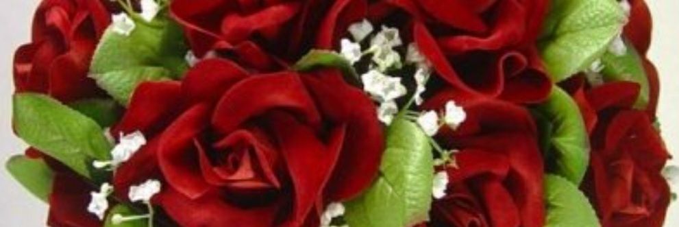 Ibr_044's profile banner image