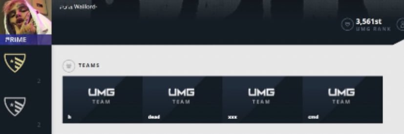 AMeRic⛧N WaStELaND banner