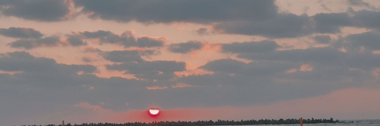 dinaatef72's profile banner image
