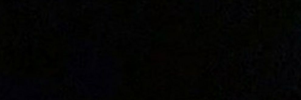 joanmbird's profile banner image
