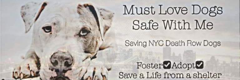 MustlovedogsNYC's profile banner image