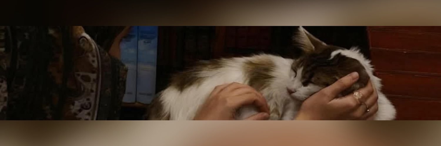 سلسبيل 𓂆 banner