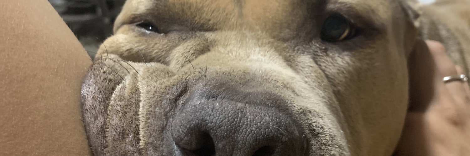 an_collins01's profile banner image