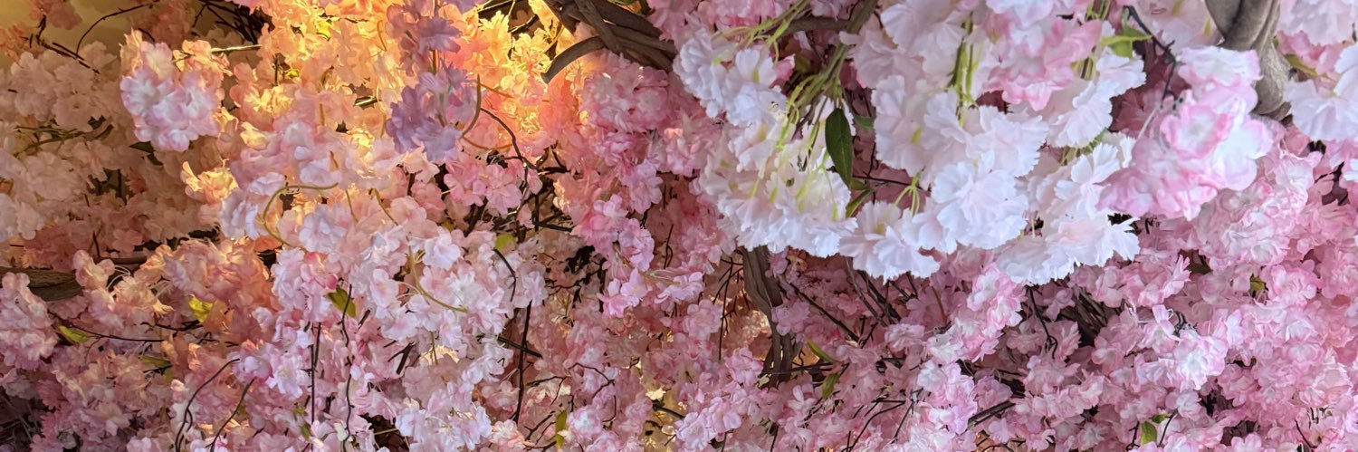 prettygalhanna's profile banner image