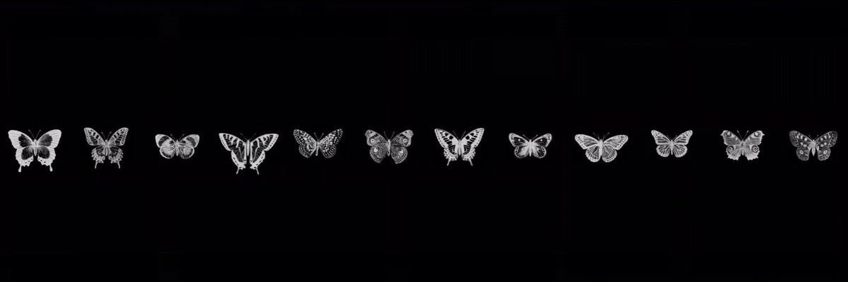 Bflyyontop's profile banner image