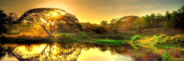 pretty_wyn's profile banner image
