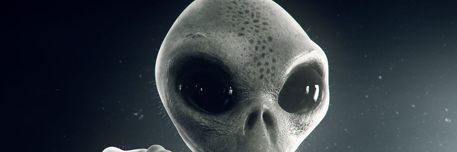 LfFodor's profile banner image