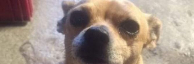 TodosMeDicenLua's profile banner image