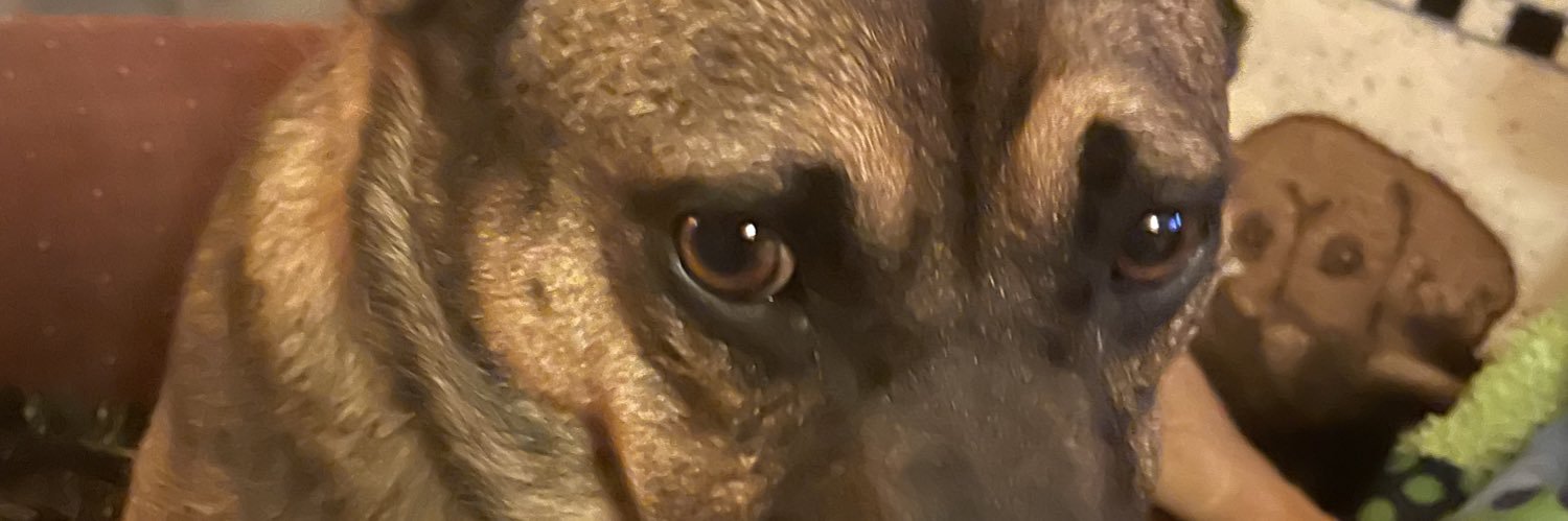 JamesCarrigan's profile banner image