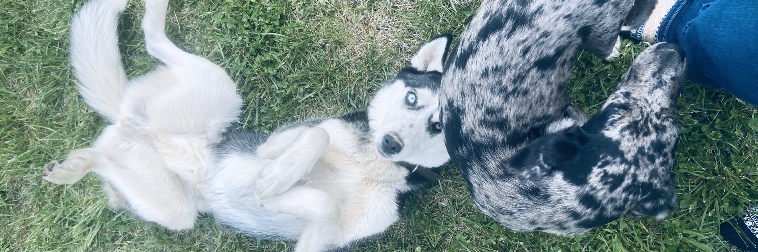 emileevaughn98's profile banner image