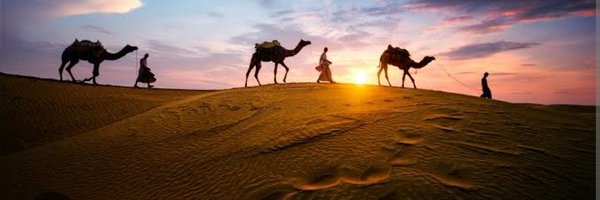 pareeknc7 Profile Banner