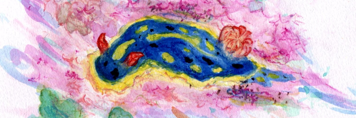 海図 banner