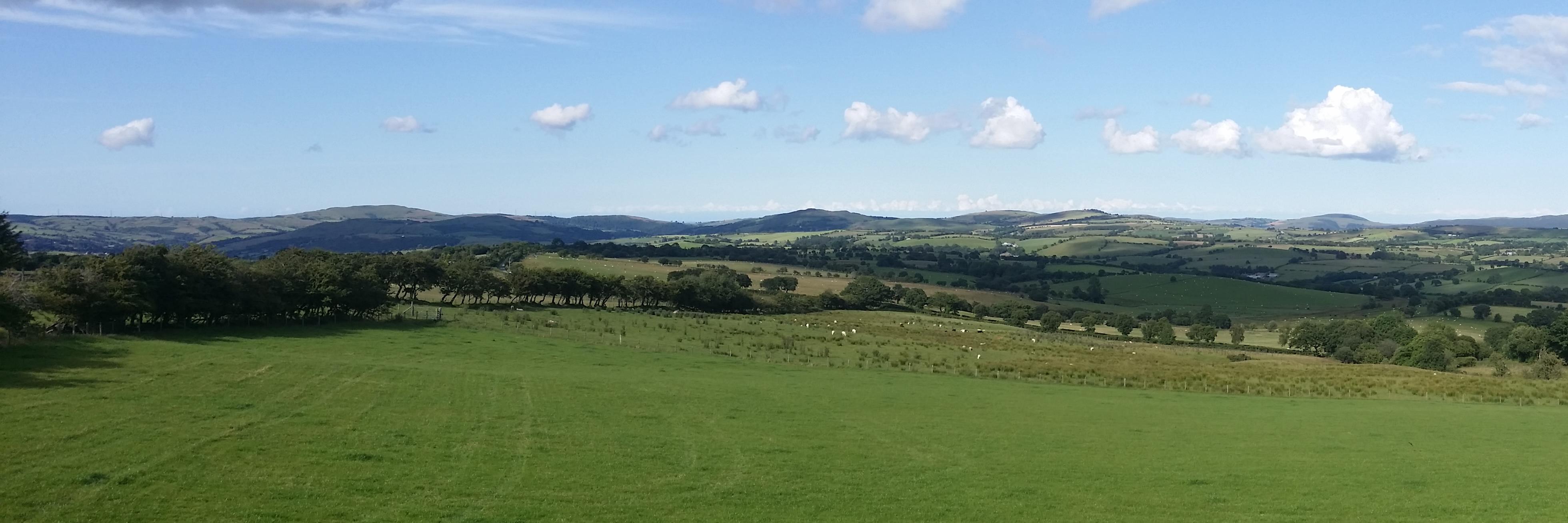 pen_fron's profile banner image