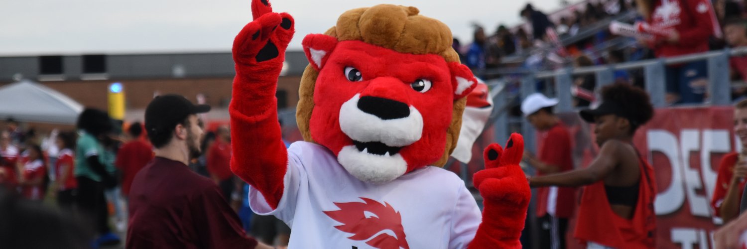 yorkulions's profile banner image
