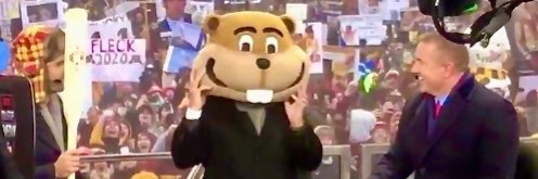 lankygopher's profile banner image
