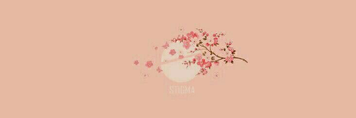 v_litae's profile banner image