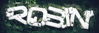 RoBiNEU92's profile banner image