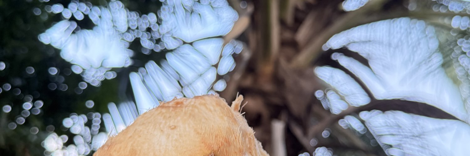Dee_Pom's profile banner image