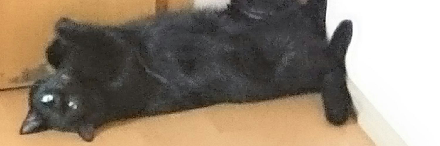 LoveyaBoobies's profile banner image