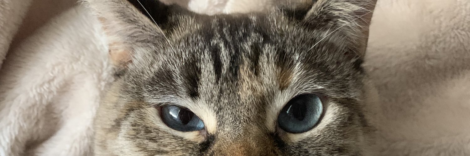 ToriYip's profile banner image