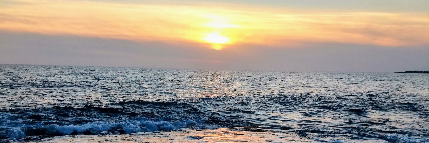 northcross crystals banner