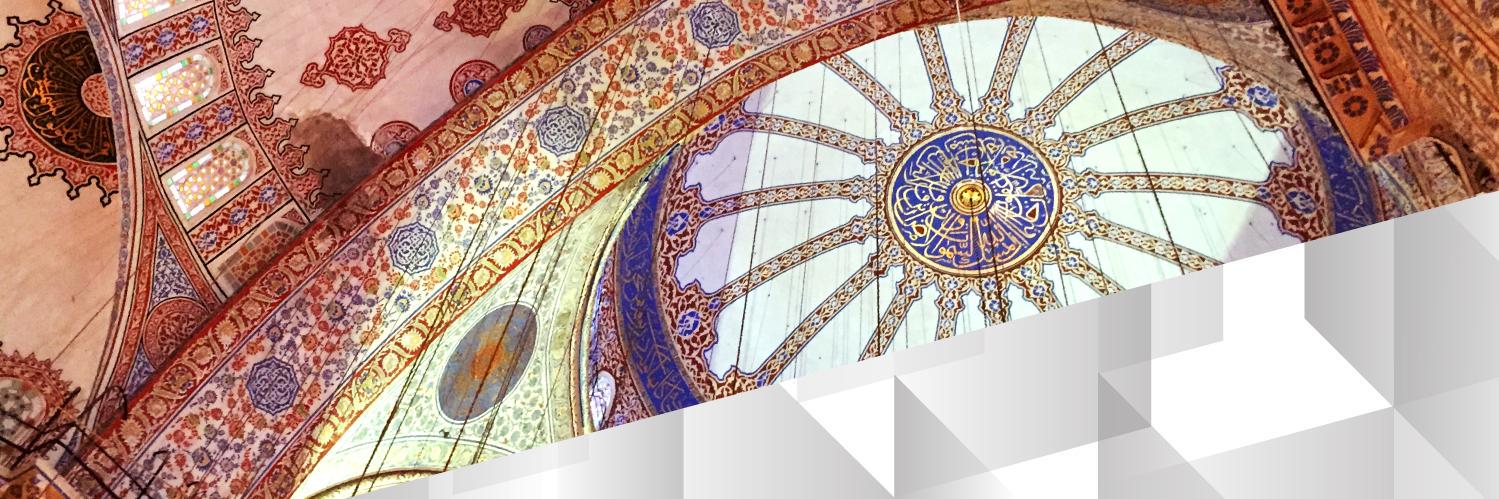 WhirlingTurkey's profile banner image