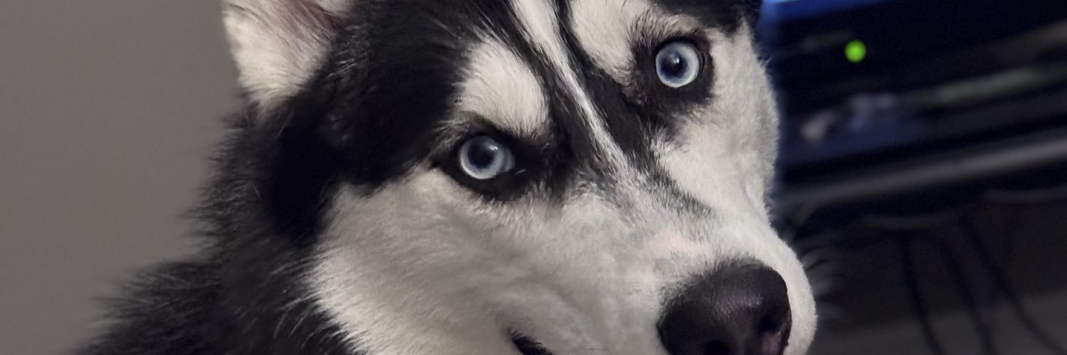 thatdollwhit's profile banner image