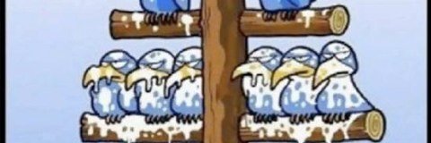 OdedMarer's profile banner image