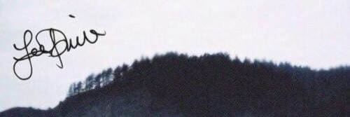 BexLHand's profile banner image