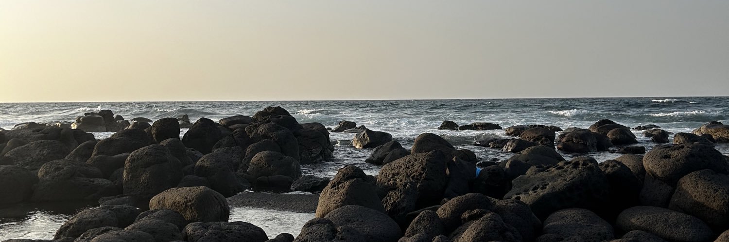 leena_aa3's profile banner image