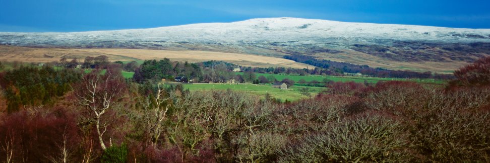 The Gathering Fields banner