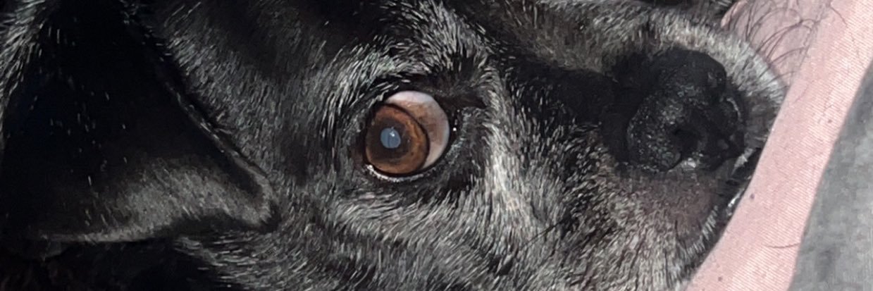 JakeyKing's profile banner image