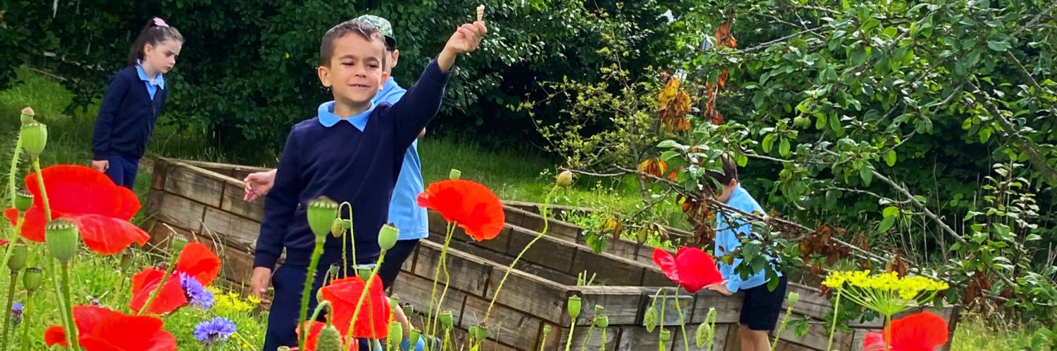 Monnow Primary School banner