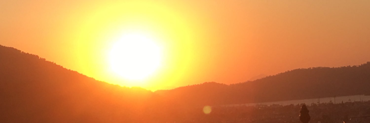 MargeShep1's profile banner image