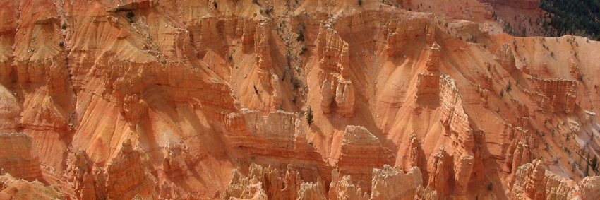 Prof Tom Gernon banner