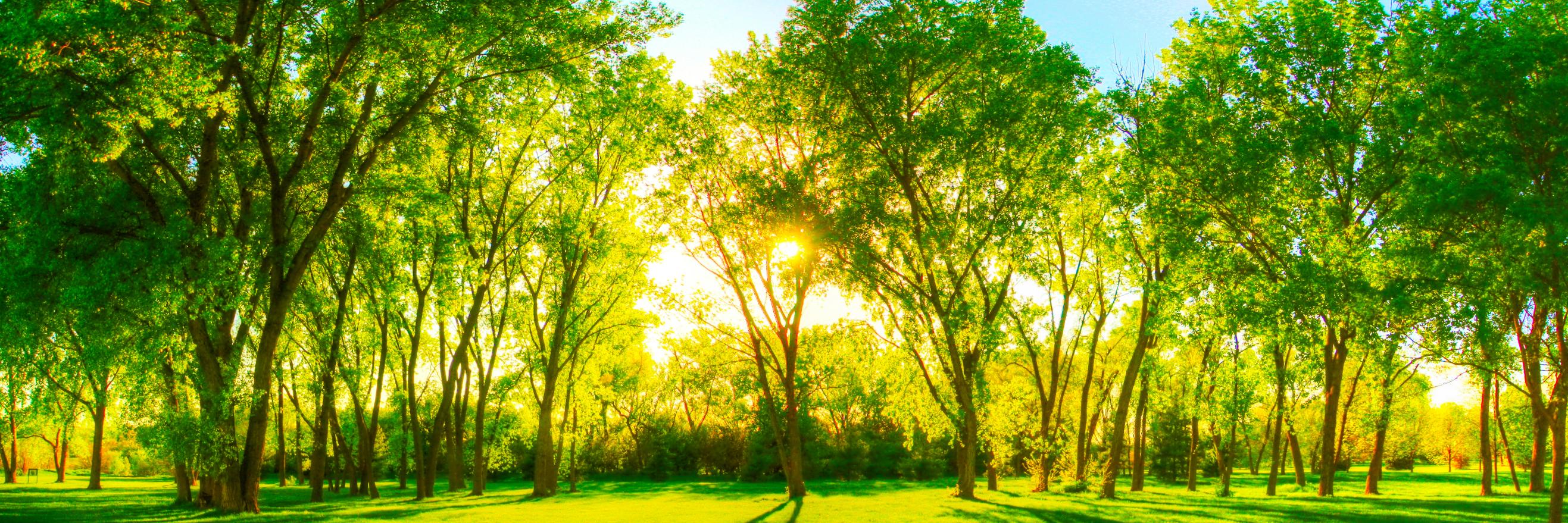 emimarotta's profile banner image