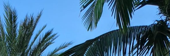 CharlotteHaram's profile banner image