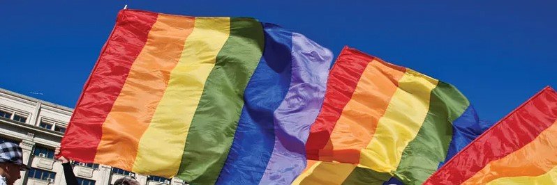 bridget🌈 They/Them banner