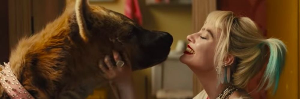 avesrex.com bsky banner