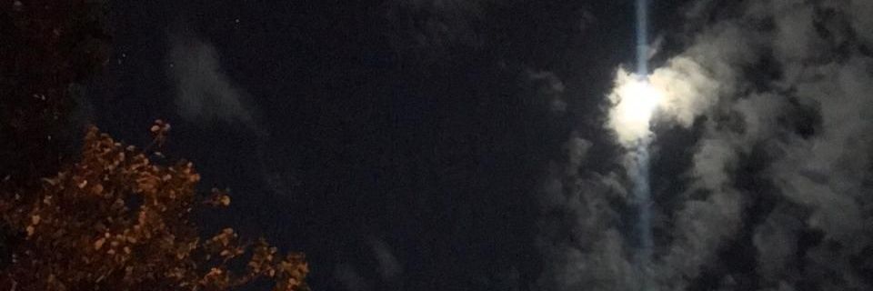 fabiolacogo_'s profile banner image