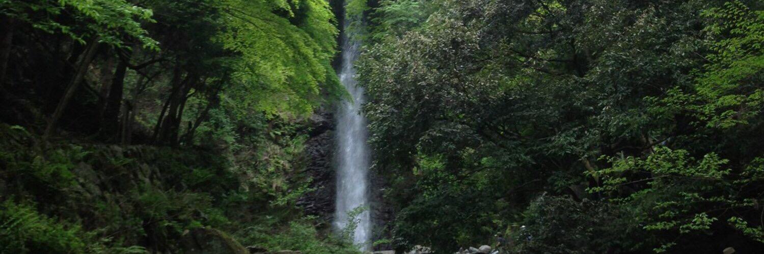 devdokimovna2's profile banner image