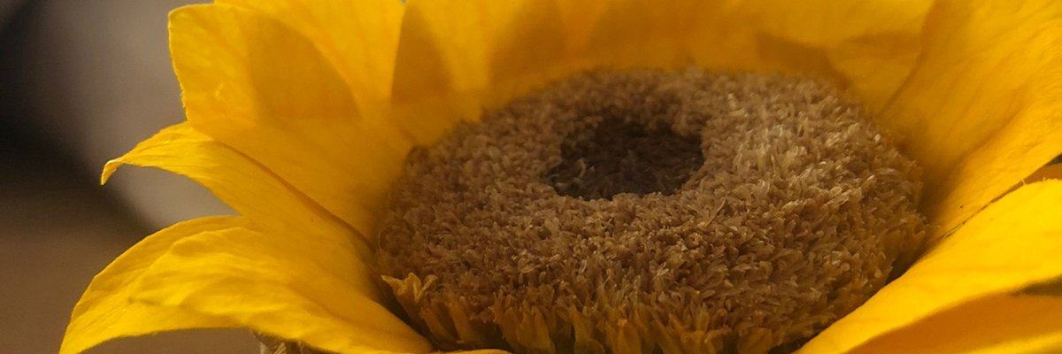 HeiidiR's profile banner image