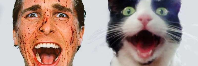 SirSquiZZ's profile banner image