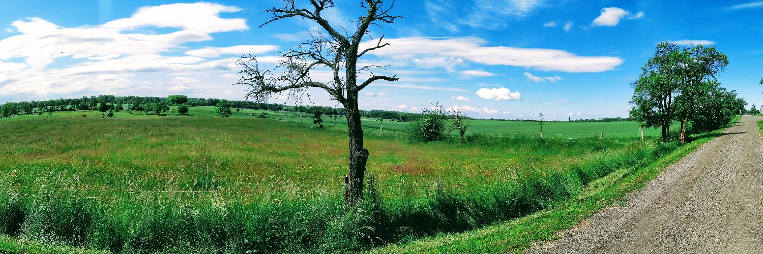 VseteteckaL's profile banner image