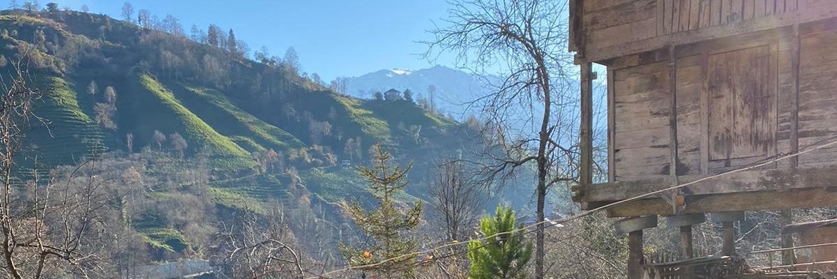 HarLaroglum's profile banner image