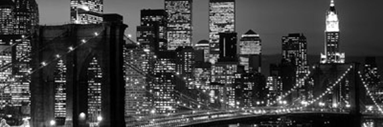 VLSelf's profile banner image