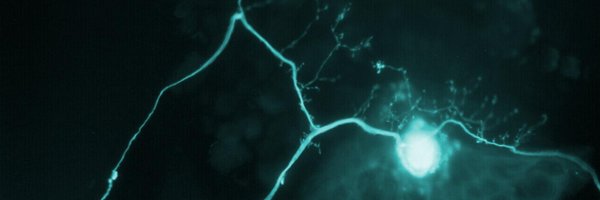 ItsNeuronal Profile Banner